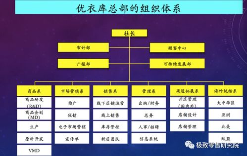 優衣庫 逆境中的市場突圍者，為何在洋品牌退潮時進入“當打之年”？